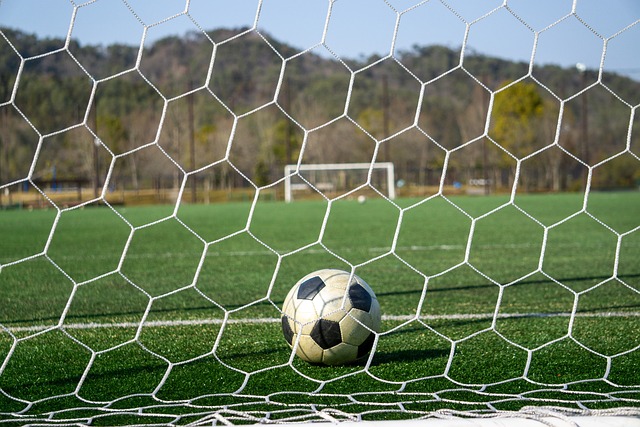 莫耶斯難掩 莫耶斯難掩