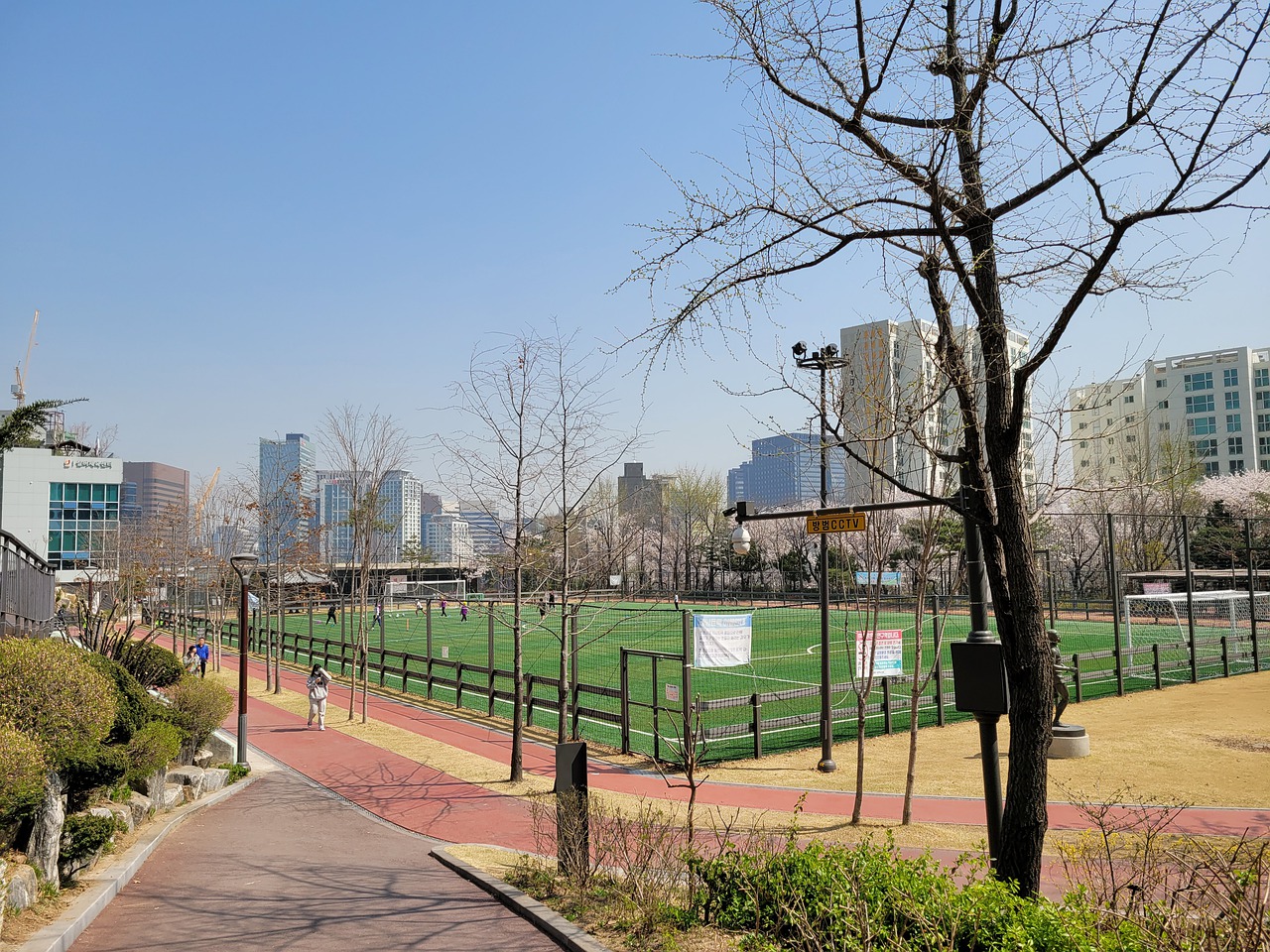 作和学术的 作和学术的