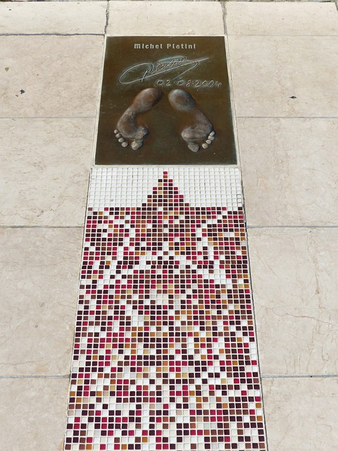 体育科技的 体育科技的